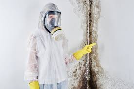 Trusted Old Saybrook Center, CT Mold Removal Experts